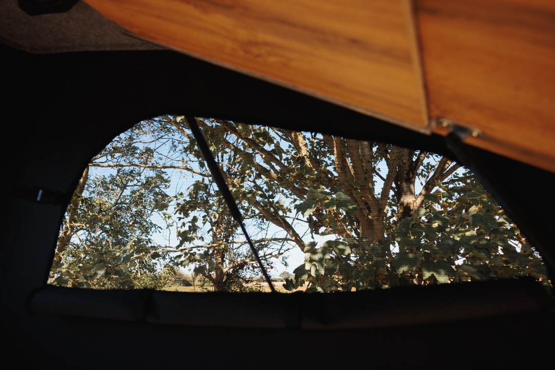 Pop top canvas window